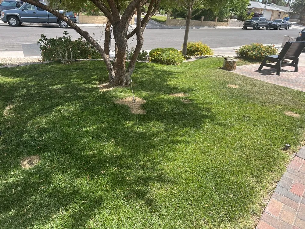Local lawn mowing service experts serving Las Vegas, NV - Ruben's Lawn Service
