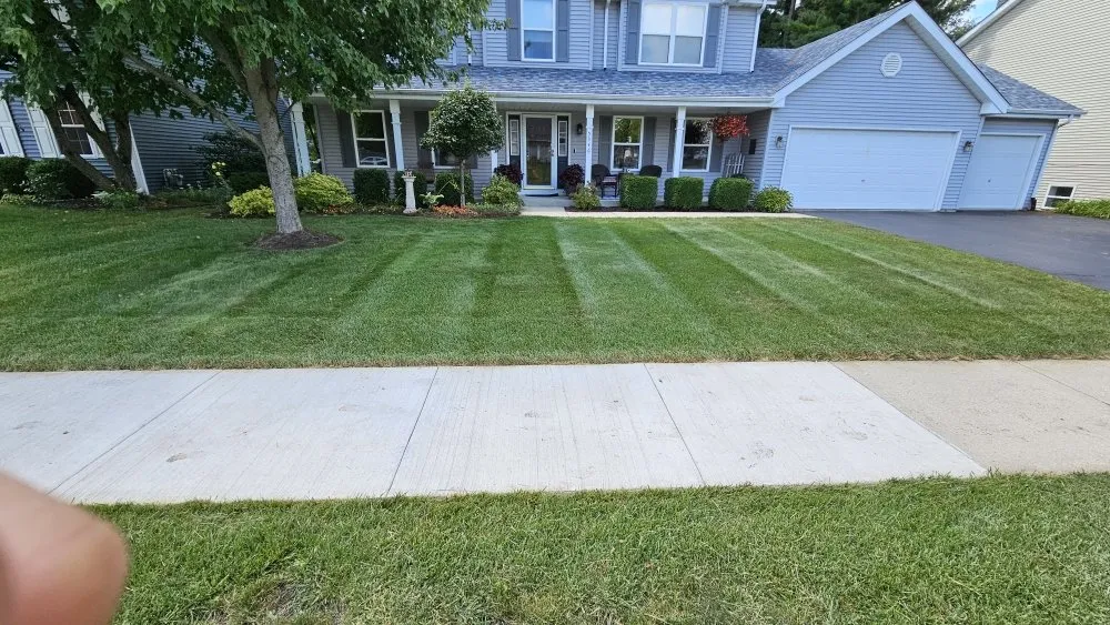 Local yard cleanup service in Rockford, IL by Rubens Lawncare services
