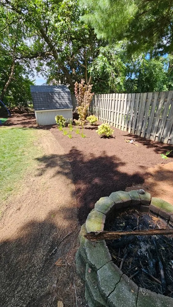 Professional yard cleanup service in Rockford, IL - Rubens Lawncare services