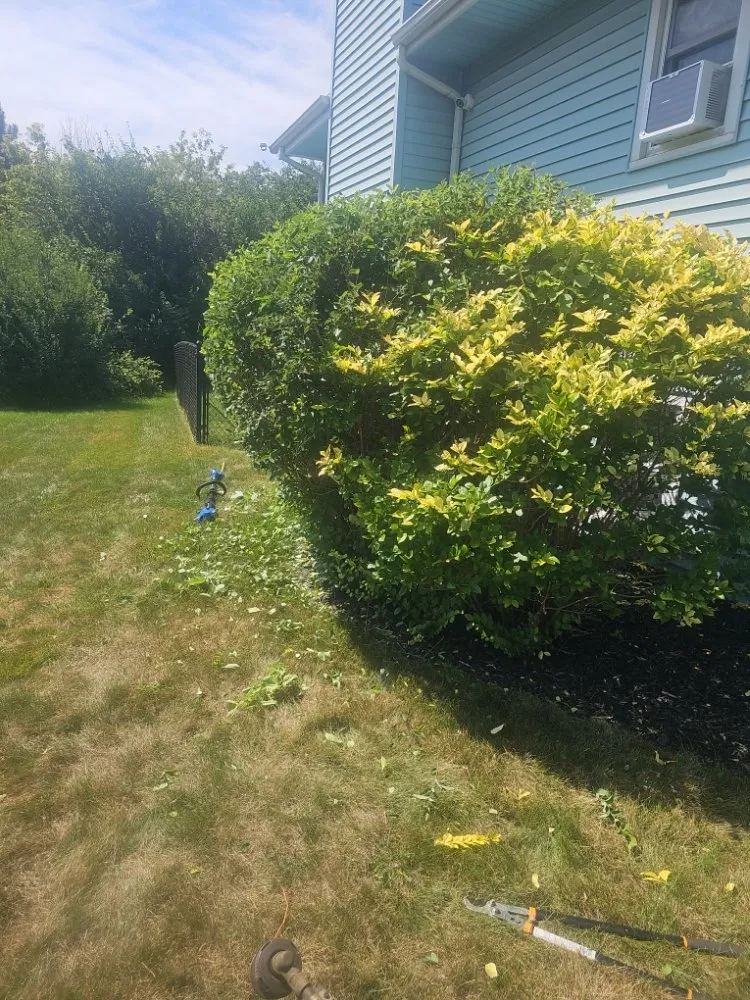 Trusted lawn care service in Rockford, IL - Rubens Lawncare services