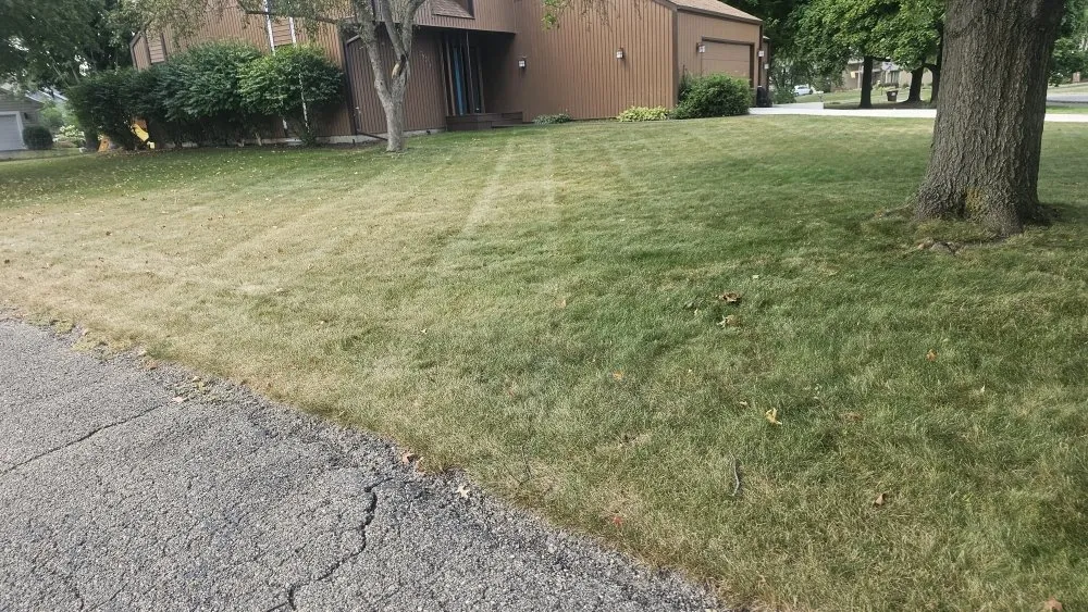 Affordable landscape design for year-round maintenance across Rockford, IL - Rubens Lawncare services