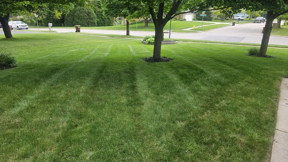 Expert garden landscaping in Rockford, IL by Rubens Lawncare services