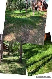 Top-rated lawn mowing service in Farmington, MN by Ruberto Outdoor Services