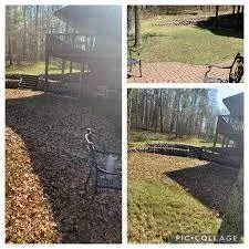 Top-rated yard cleanup service in Farmington, MN by Ruberto Outdoor Services