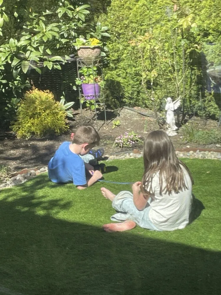 Trusted yard cleanup service in Woodburn, OR by Rubi Landscape