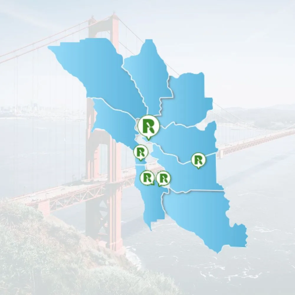 Top-rated yard cleanup service experts serving Richmond, CA - Rubicon Landscape