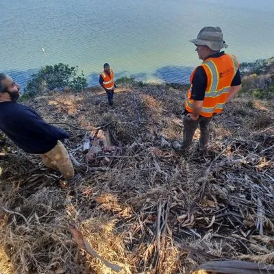 Professional residential landscaping in Richmond, CA - Rubicon Landscape