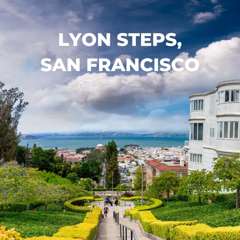 Local landscaping services in Richmond, CA by Rubicon Landscape