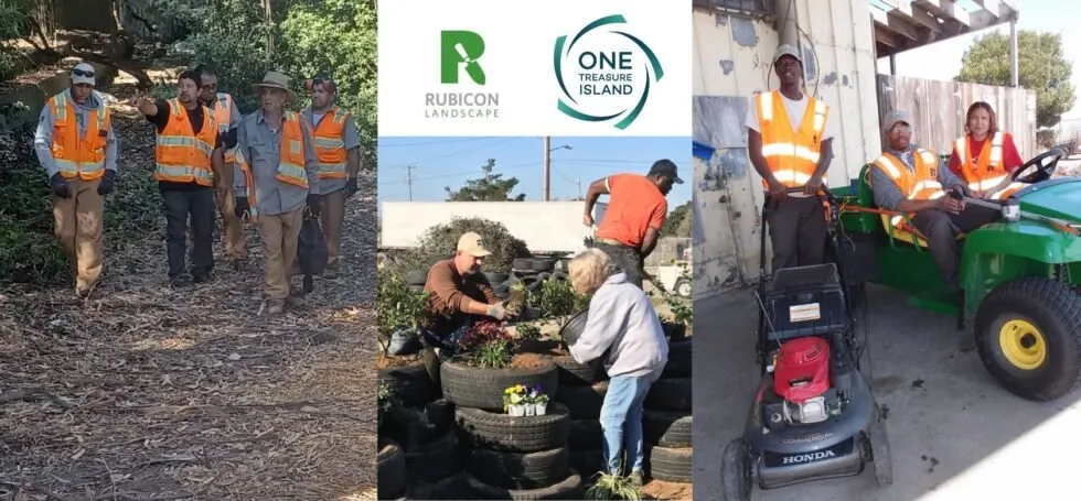 Expert lawn mowing service in Richmond, CA by Rubicon Landscape