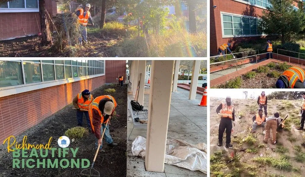 Top-rated outdoor landscaping with custom design across Richmond, CA - Rubicon Landscape