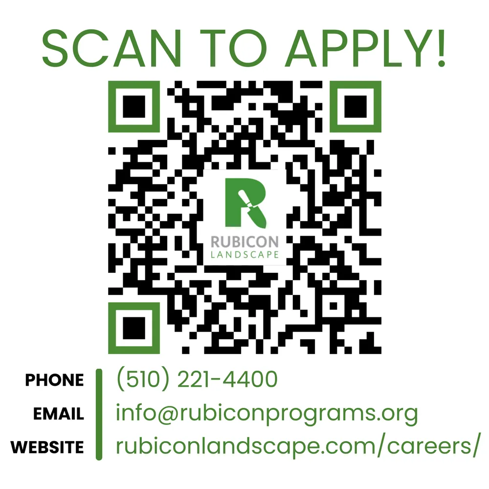 Expert yard maintenance in Richmond, CA by Rubicon Landscape