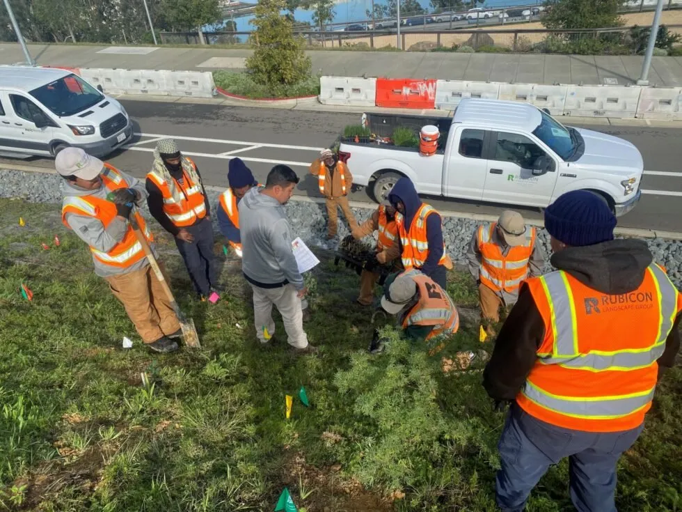Trusted yard maintenance experts serving Richmond, CA - Rubicon Landscape