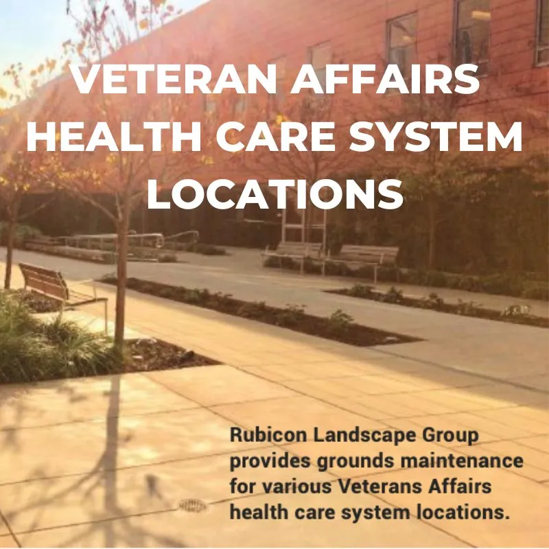 Professional landscape design for beautiful yards across Richmond, CA - Rubicon Landscape