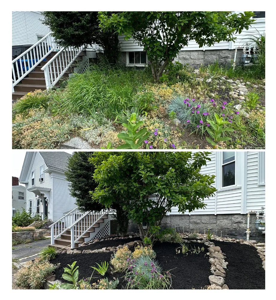 Affordable residential landscaping in Essex, MA by Rubin Landscape