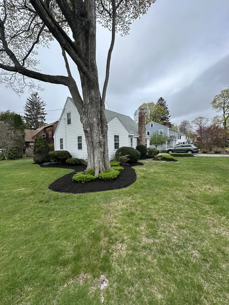 Top-rated lawn care service experts serving Essex, MA - Rubin Landscape