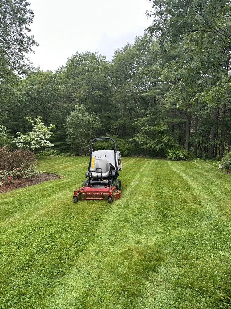 Professional outdoor landscaping experts serving Essex, MA - Rubin Landscape