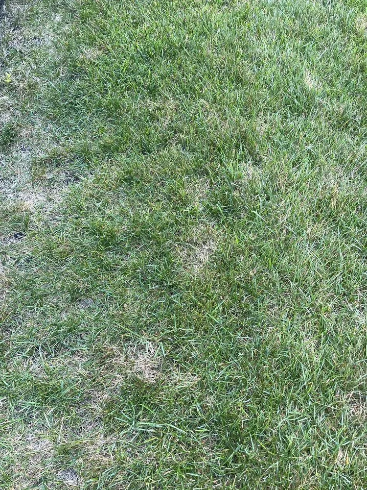 Top-rated outdoor landscaping in McHenry, IL - Rubino Landscapes