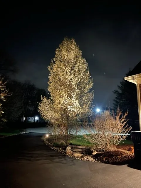 Custom landscaping services in McHenry, IL by Rubino Landscapes