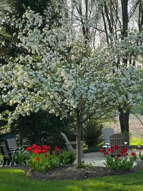 Affordable landscape installation experts serving McHenry, IL - Rubino Landscapes