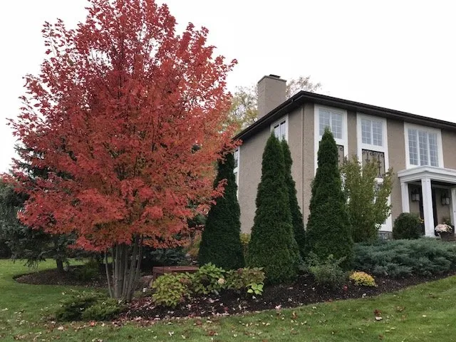 Expert landscape design in McHenry, IL - Rubino Landscapes