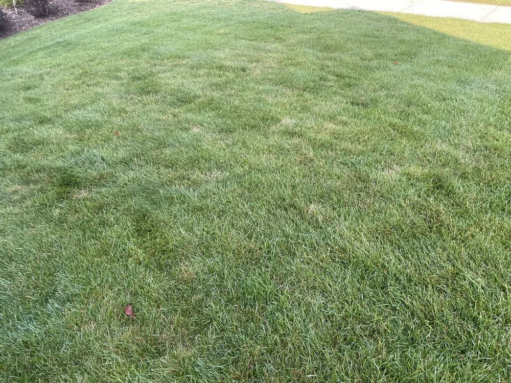 Local landscape installation for beautiful yards in McHenry, IL by Rubino Landscapes