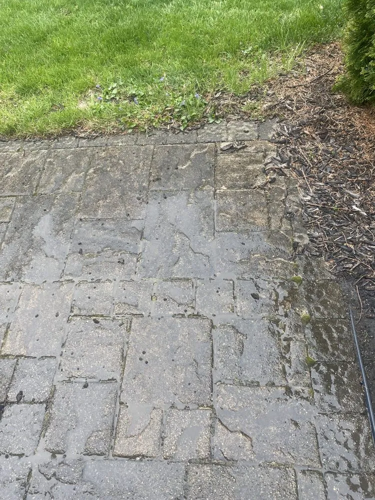 Local yard cleanup service in Columbus, OH - Rubino Pressure Washing