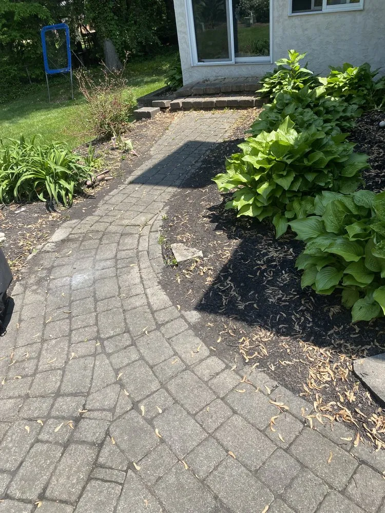 Expert yard cleanup service experts serving Columbus, OH - Rubino Pressure Washing