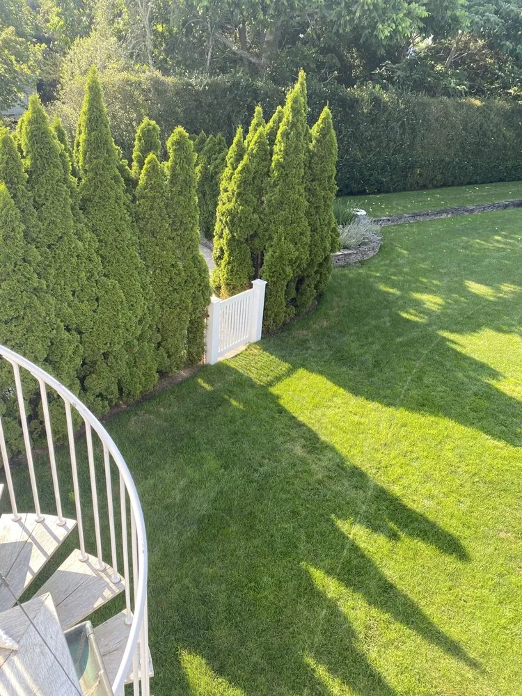 Top-rated landscaping services for beautiful yards across Calverton, NY - Rubio Cleaning & Landscaping