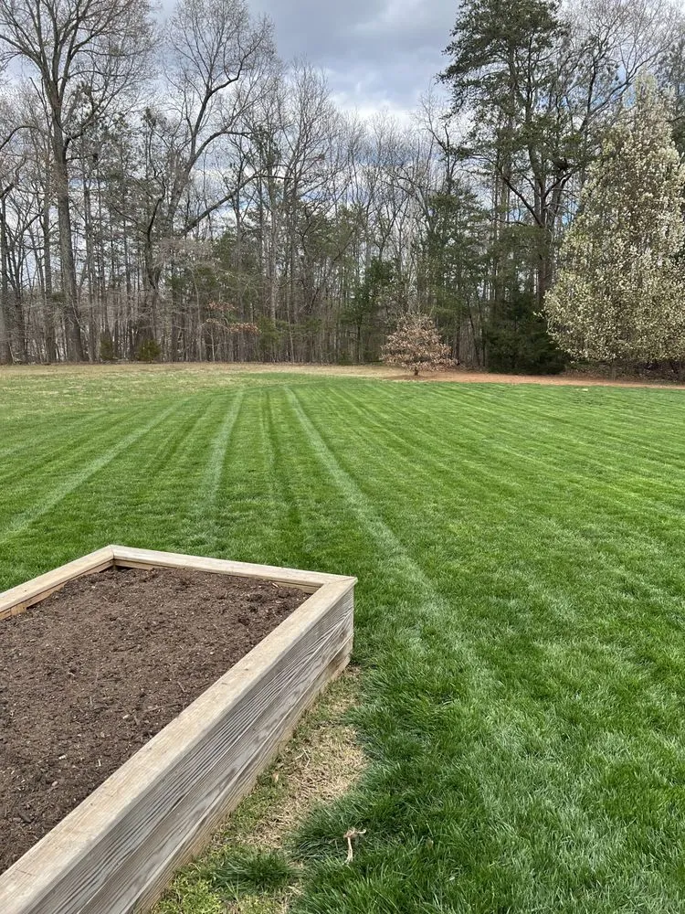 Trusted yard cleanup service in Greensboro, NC - Rubio Landscape