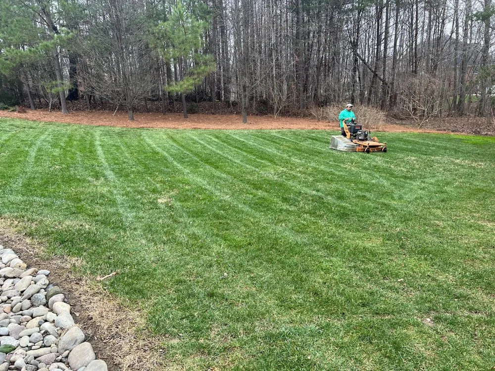 Custom landscape installation in Greensboro, NC - Rubio Landscape