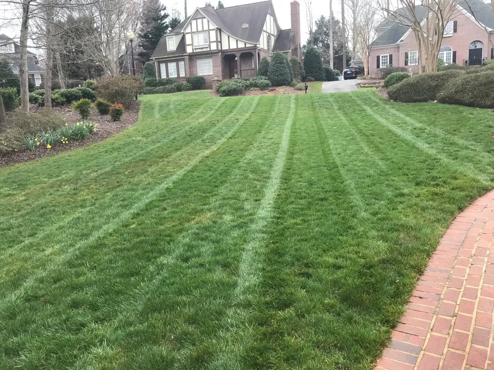 Professional landscape design for year-round maintenance across Greensboro, NC - Rubio Landscape