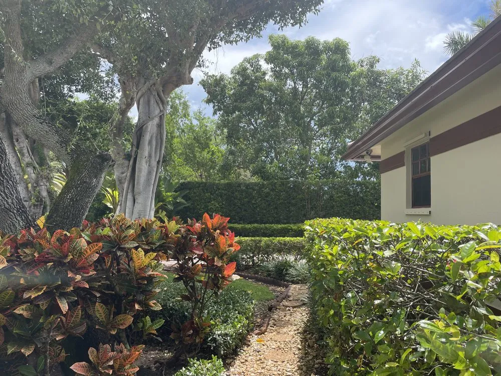 Reliable landscape installation in Princeton, FL by Rubio Landscaping Corporation