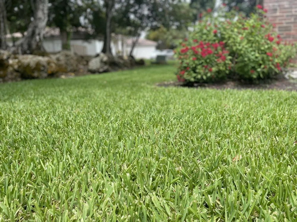 Local landscape design for beautiful yards in Princeton, FL by Rubio Landscaping Corporation