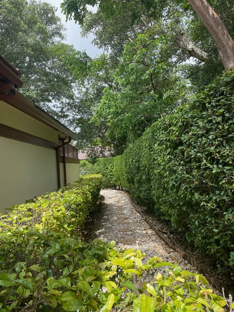 Reliable yard maintenance in Princeton, FL by Rubio Landscaping Corporation