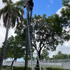 Trusted landscape installation experts serving Princeton, FL - Rubio Landscaping Corporation