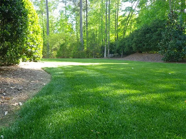Top-rated outdoor landscaping experts serving Flanders, NY - Rubio Landscaping