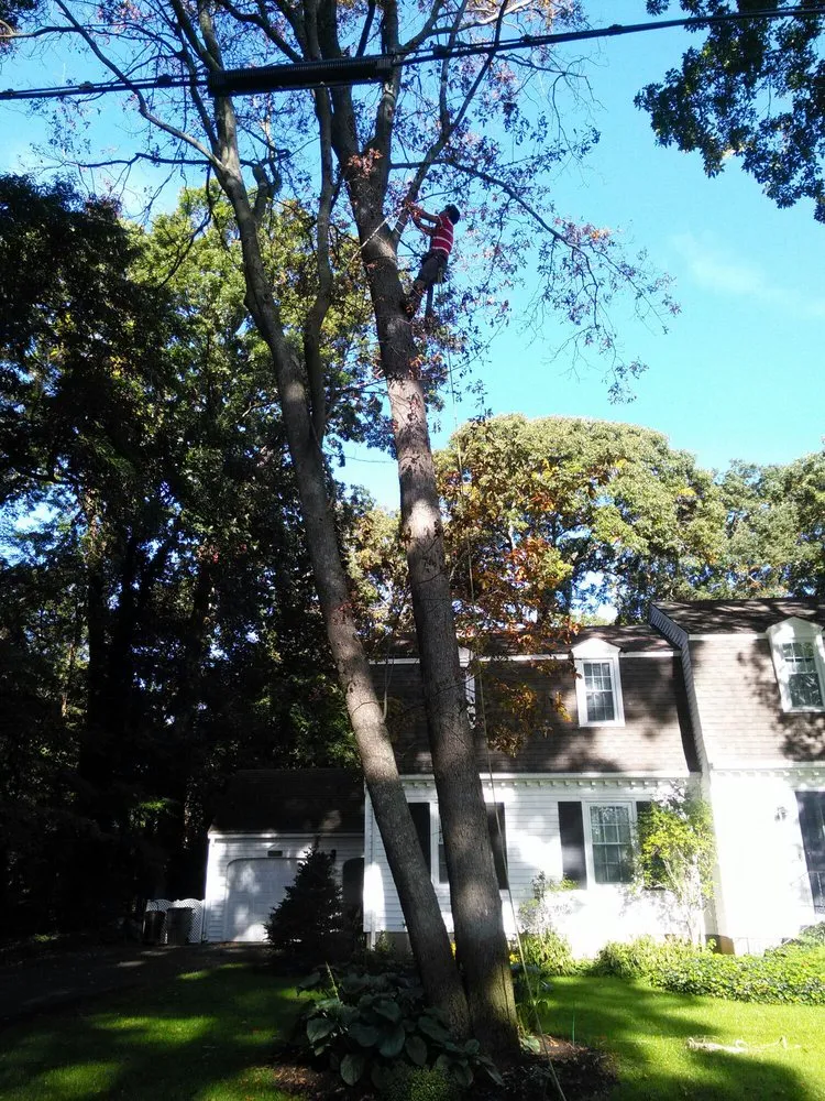 Professional landscape installation for beautiful yards across Flanders, NY - Rubio Landscaping