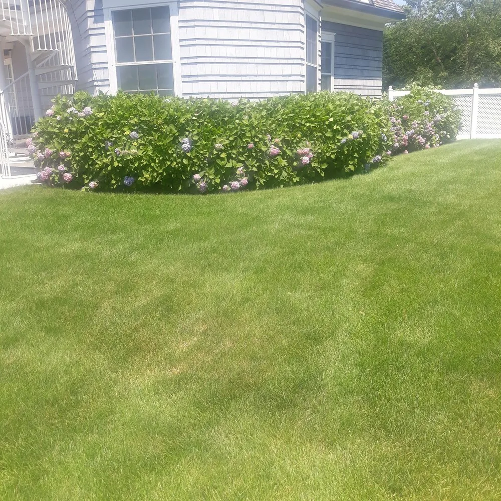 Professional lawn care service in Flanders, NY - Rubio Landscaping