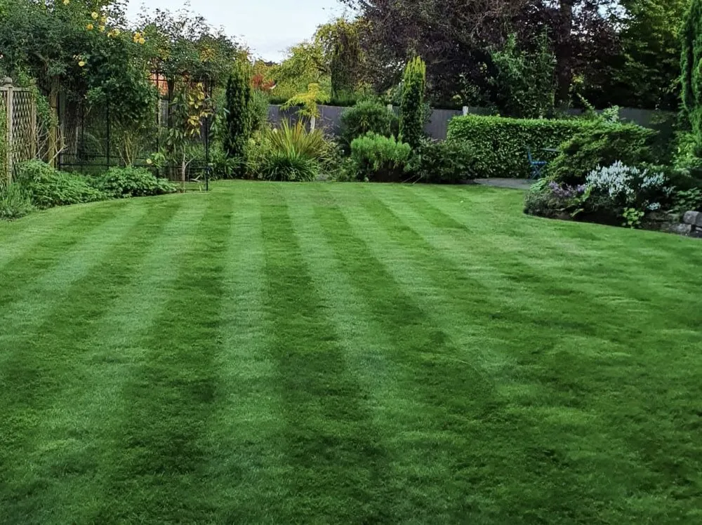 Affordable landscaping services in Skokie, IL - Rubio Lawn Care