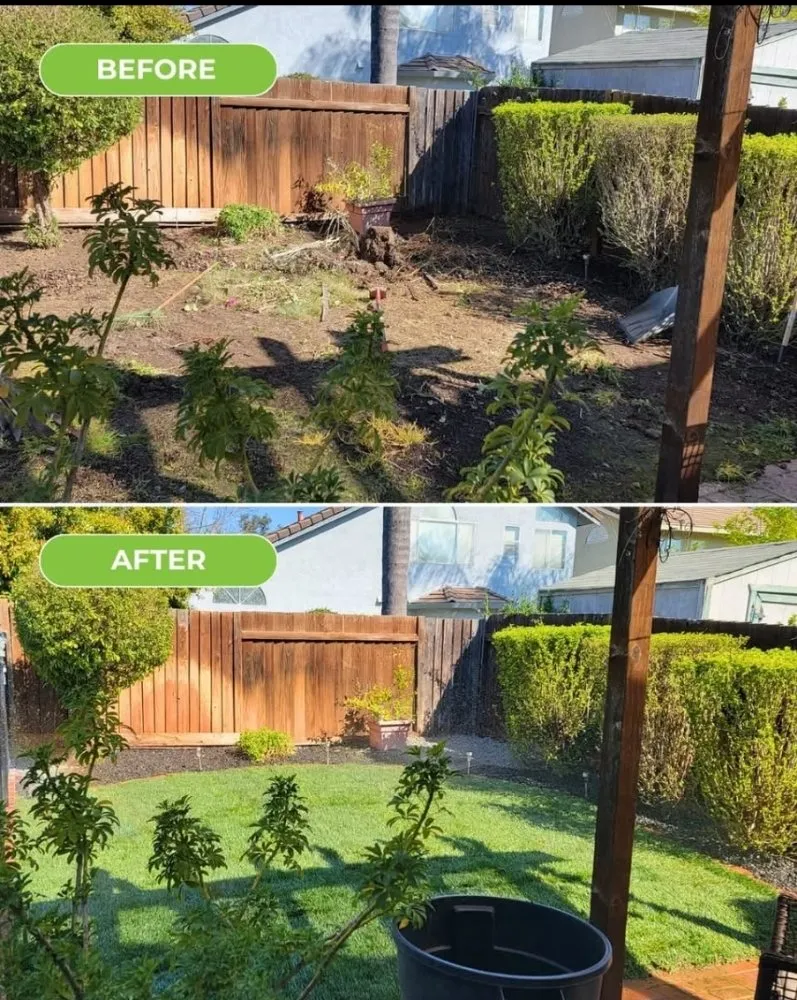 Expert garden landscaping experts serving Modesto, CA - Rubio Lawn Maintenance and Landscaping