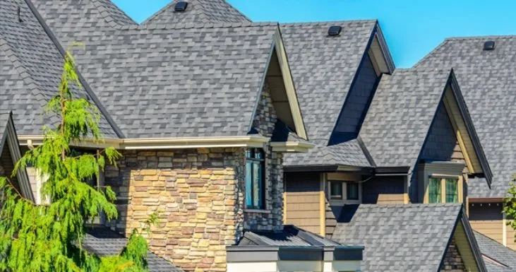 Affordable landscaping services in Topeka, KS by Rubio Roofing And Landscapig