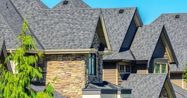 Rubio Roofing And Landscapig Logo