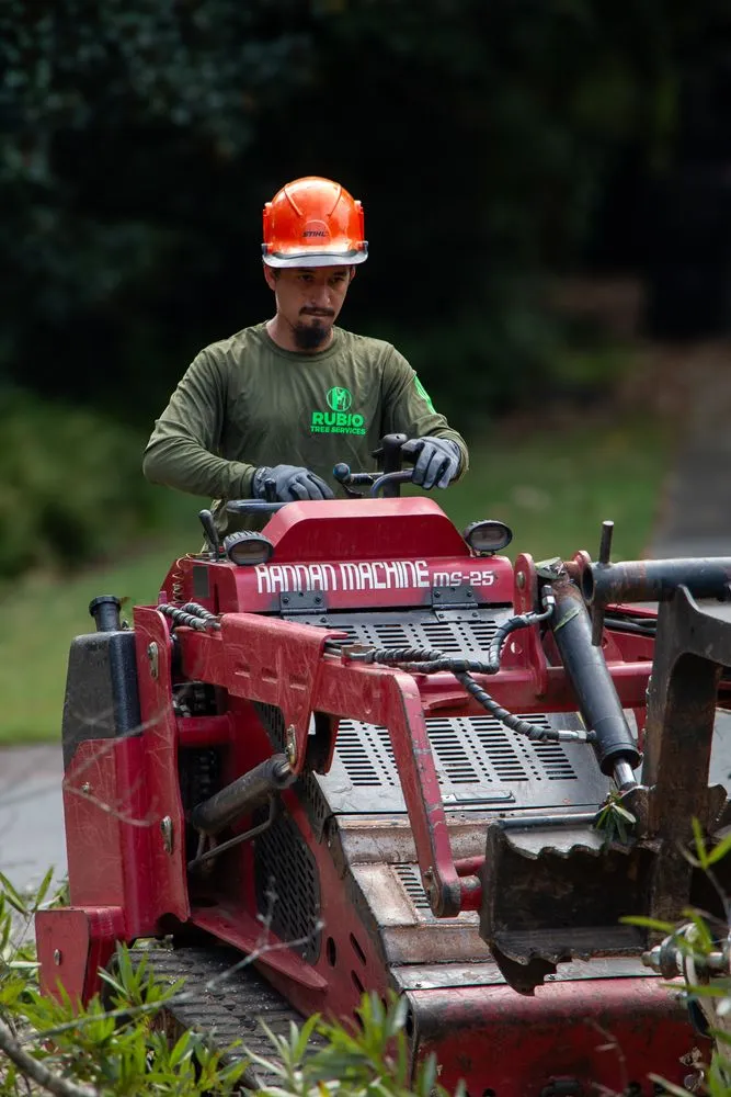 Expert landscape installation experts serving Mint Hill, NC - Rubio Tree Services