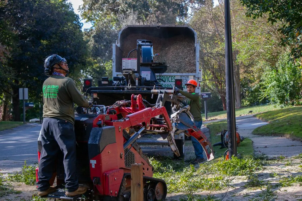 Reliable yard cleanup service for homes in Mint Hill, NC by Rubio Tree Services