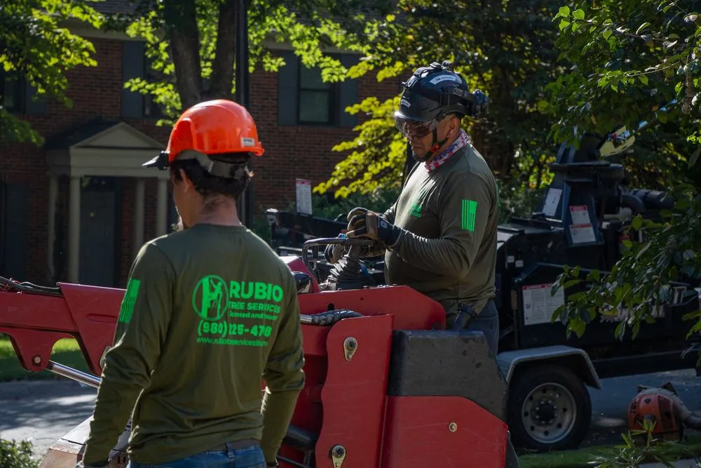 Professional lawn care service experts serving Mint Hill, NC - Rubio Tree Services