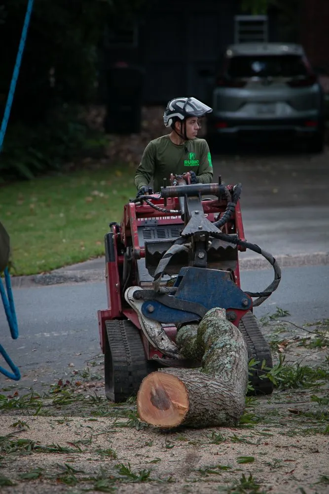 Expert landscape design with custom design in Mint Hill, NC by Rubio Tree Services