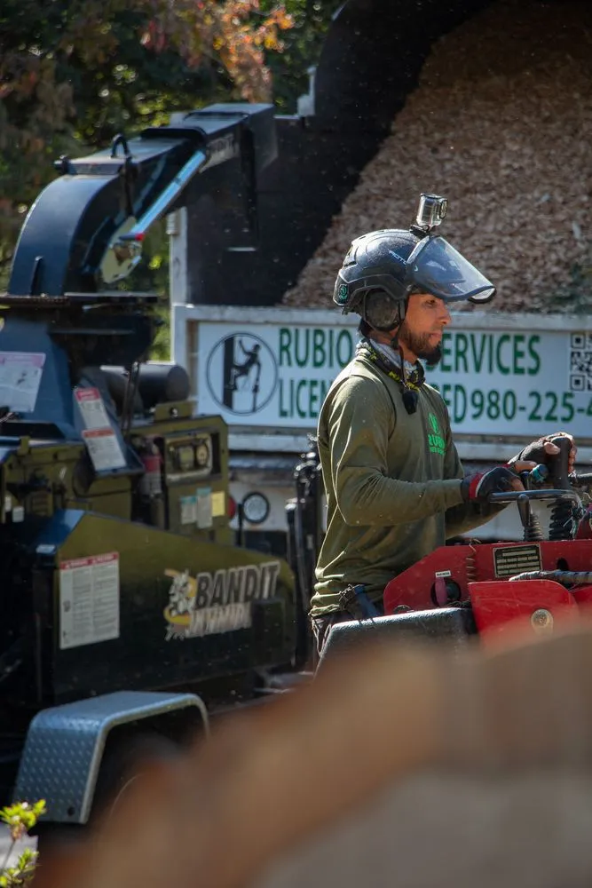Expert landscape installation in Mint Hill, NC - Rubio Tree Services