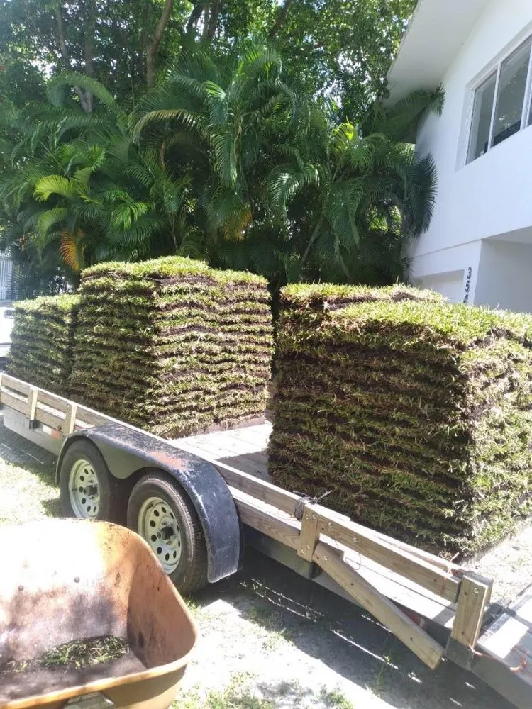 Top-rated lawn care service experts serving Miami, FL - Rubio's Garden Services