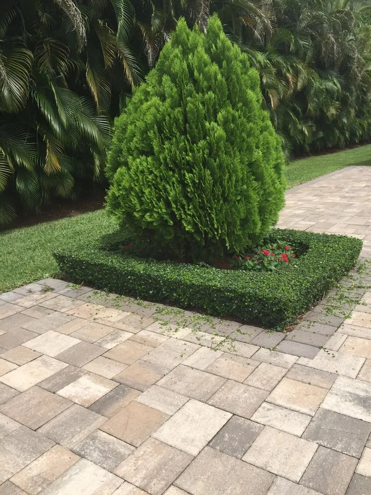 Affordable yard maintenance in Miami, FL by Rubio's Garden Services