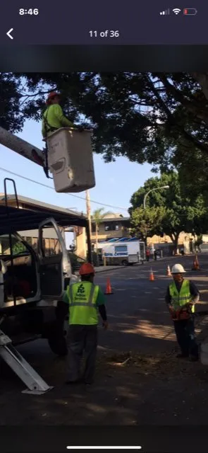 Expert landscape installation near you across Cerritos, CA - Rubios Landscape & Construction